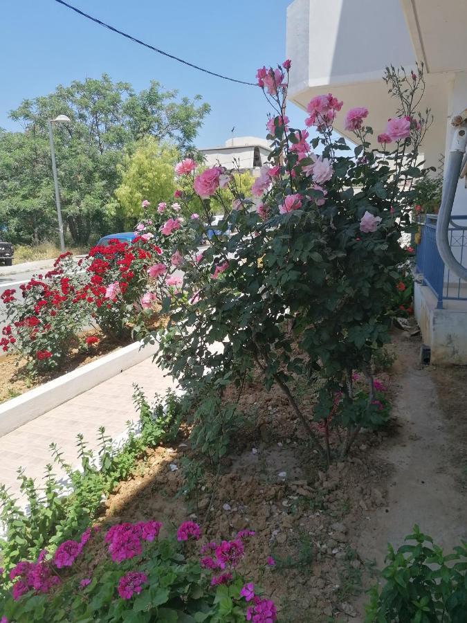Elva Creta Apartment Heraklion  Bagian luar foto